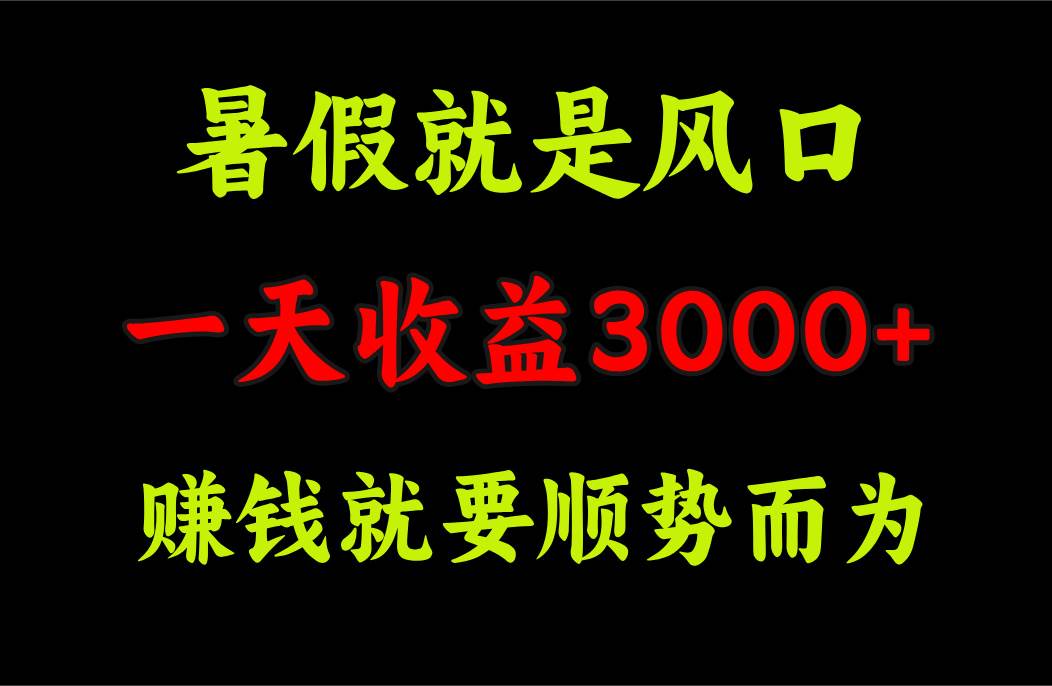 一天收益3000+ 赚钱就是顺势而为，暑假就是风口-小小小弦