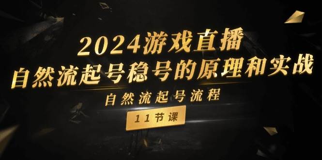 2024游戏直播-自然流起号稳号的原理和实战，自然流起号流程（11节）-小小小弦