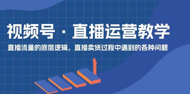 视频号 直播运营教学：直播流量的底层逻辑，直播卖货过程中遇到的各种问题-小小小弦