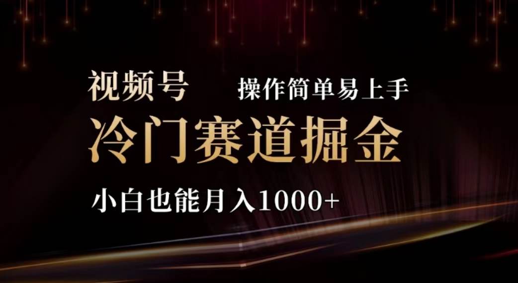 2024视频号冷门赛道掘金，操作简单轻松上手，小白也能月入1000+-小小小弦