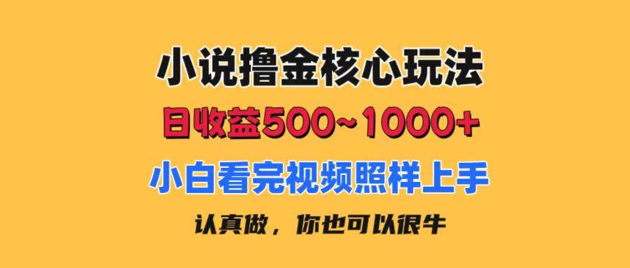 小说撸金核心玩法，日收益500-1000+，小白看完照样上手，0成本有手就行-小小小弦