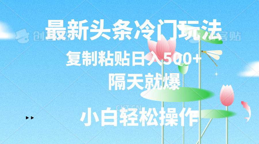 最新头条冷门玩法，隔天就爆，复制粘贴日入500+-小小小弦