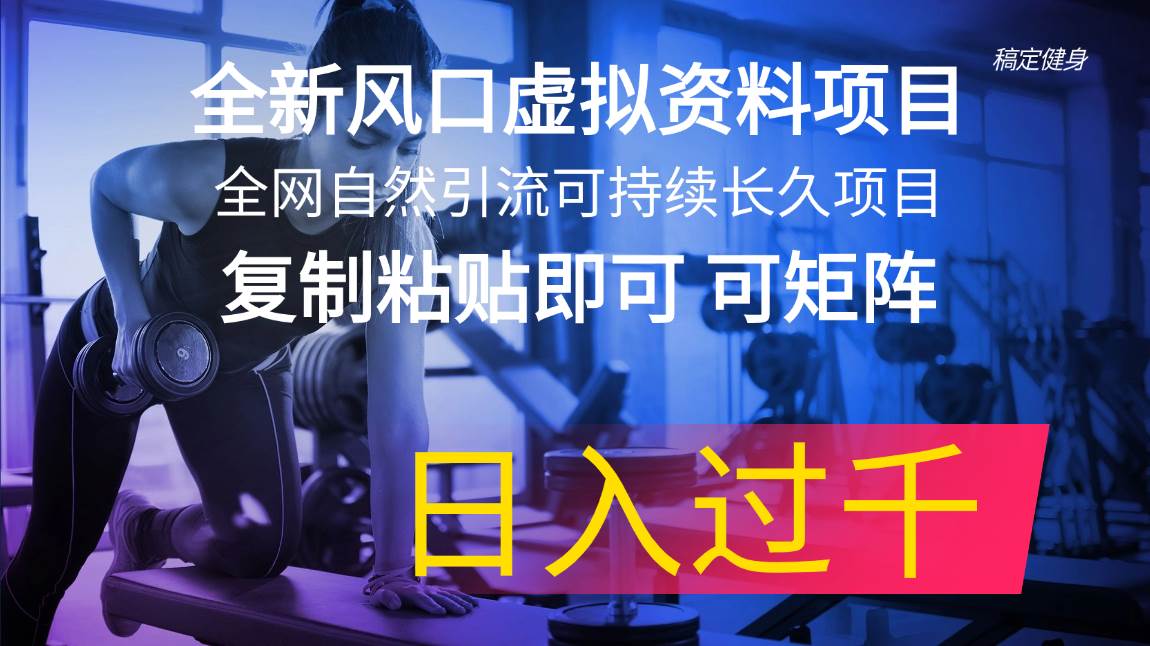 全新风口虚拟资料项目 全网自然引流可持续长久项目 复制粘贴即可可矩阵…-小小小弦