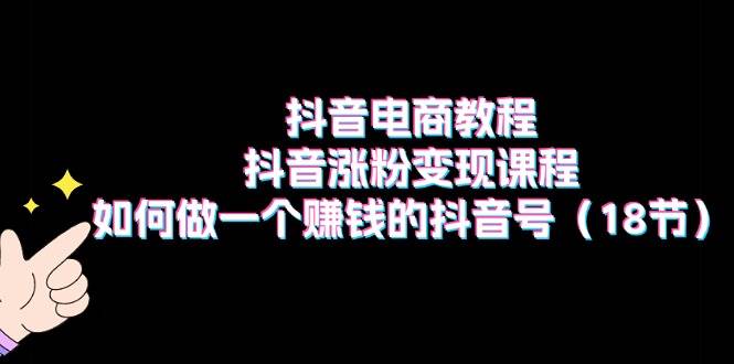 抖音电商教程：抖音涨粉变现课程：如何做一个赚钱的抖音号（18节）-小小小弦