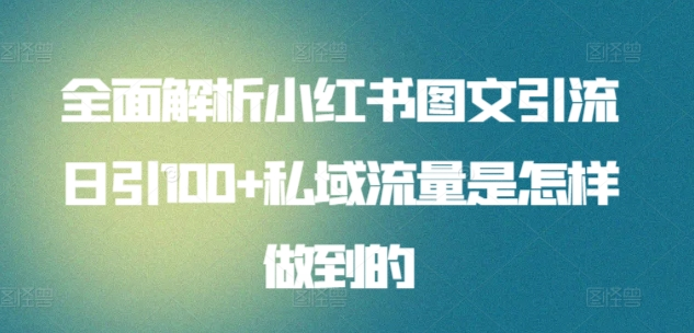 全面解析小红书图文引流日引100私域流量是怎样做到的-小小小弦