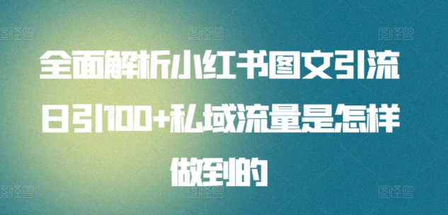 日引流100私域流量小红书图文是怎样做到的全面解析-小小小弦