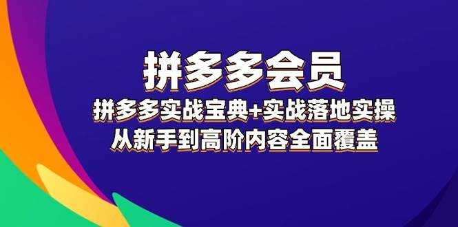 拼多多 会员，拼多多实战宝典+实战落地实操，从新手到高阶内容全面覆盖-小小小弦