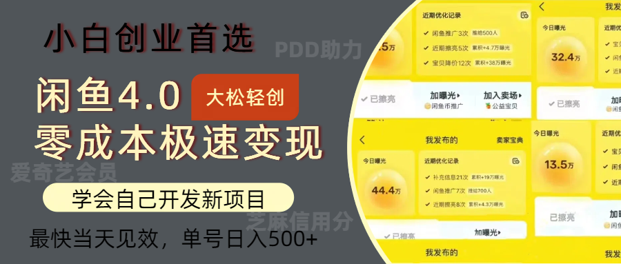 闲鱼0成本极速变现项目，多种变现方式，单号日入500+最新玩法-小小小弦