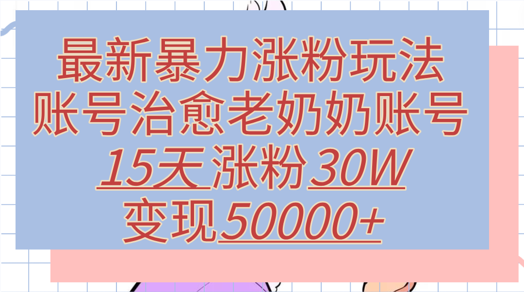 最新暴力涨粉玩法，治愈老奶奶账号，15天涨粉30W，变现50000+【揭秘】-小小小弦