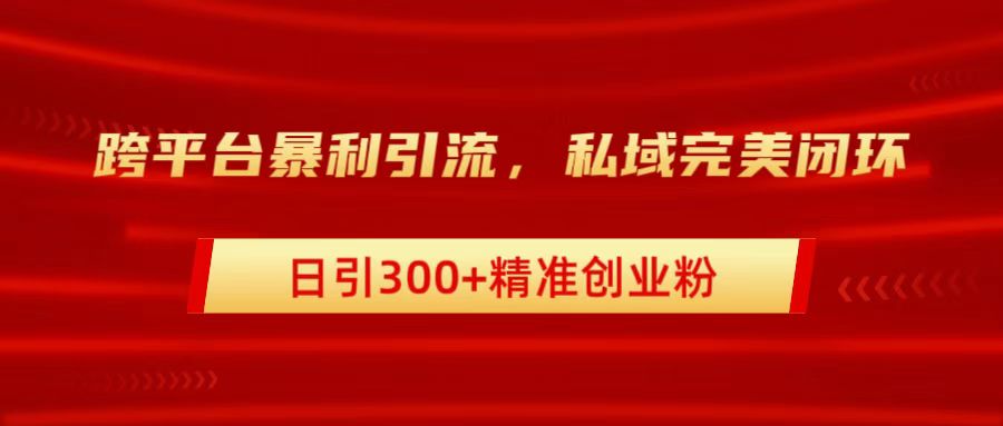 跨平台暴力引流，私域完美闭环，日引300+精准创业粉-小小小弦