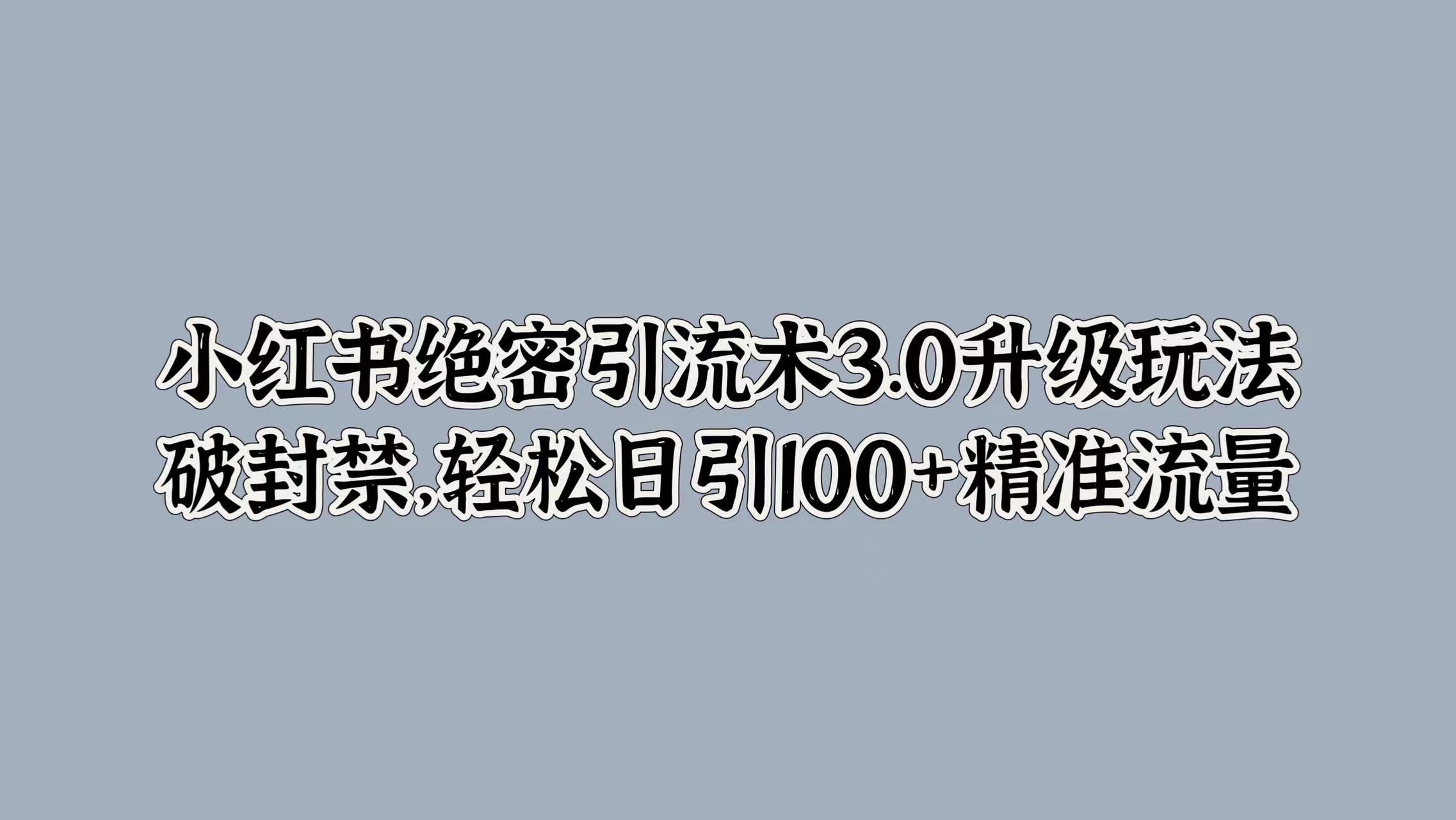 小红书绝密引流术3.0升级玩法，破封禁，轻松日引100+精准流量-小小小弦