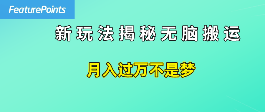 简单操作，每天50美元收入，搬运就是赚钱的秘诀！-小小小弦