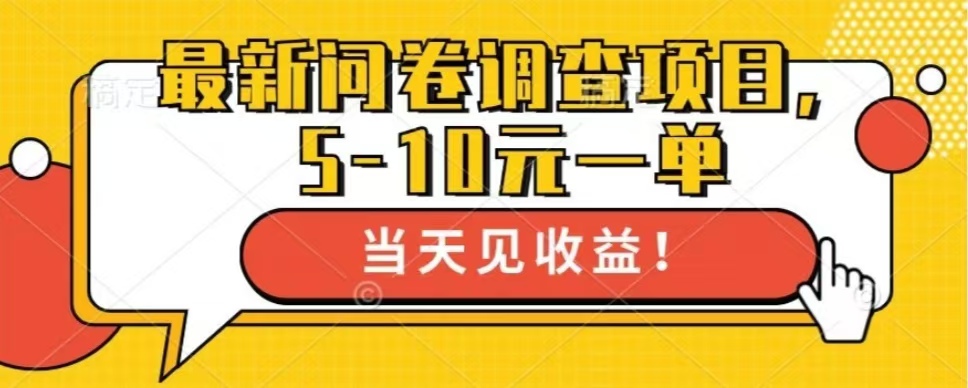 最新问卷调查项目，共12个平台，单日零撸100＋-小小小弦