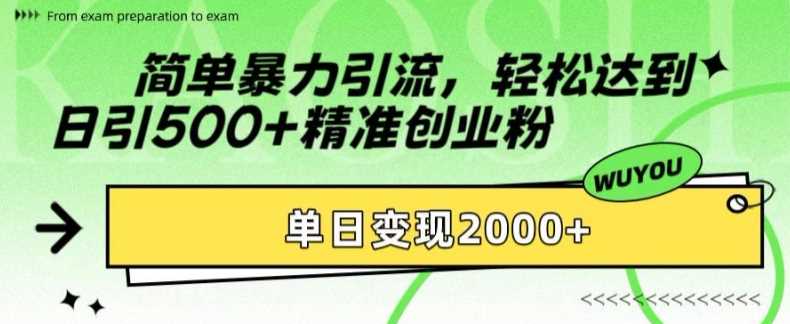 简单暴力引流轻松达到日引500+精准创业粉，单日变现2k【揭秘】-小小小弦