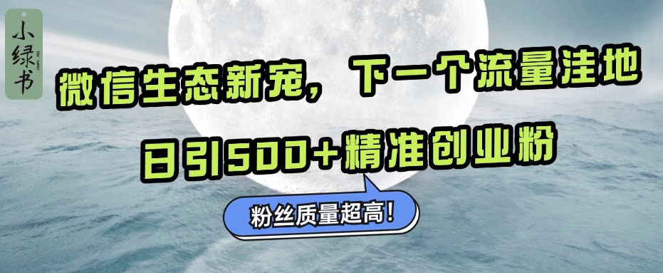 微信生态新宠小绿书：下一个流量洼地，粉丝质量超高，日引500+精准创业粉，-小小小弦