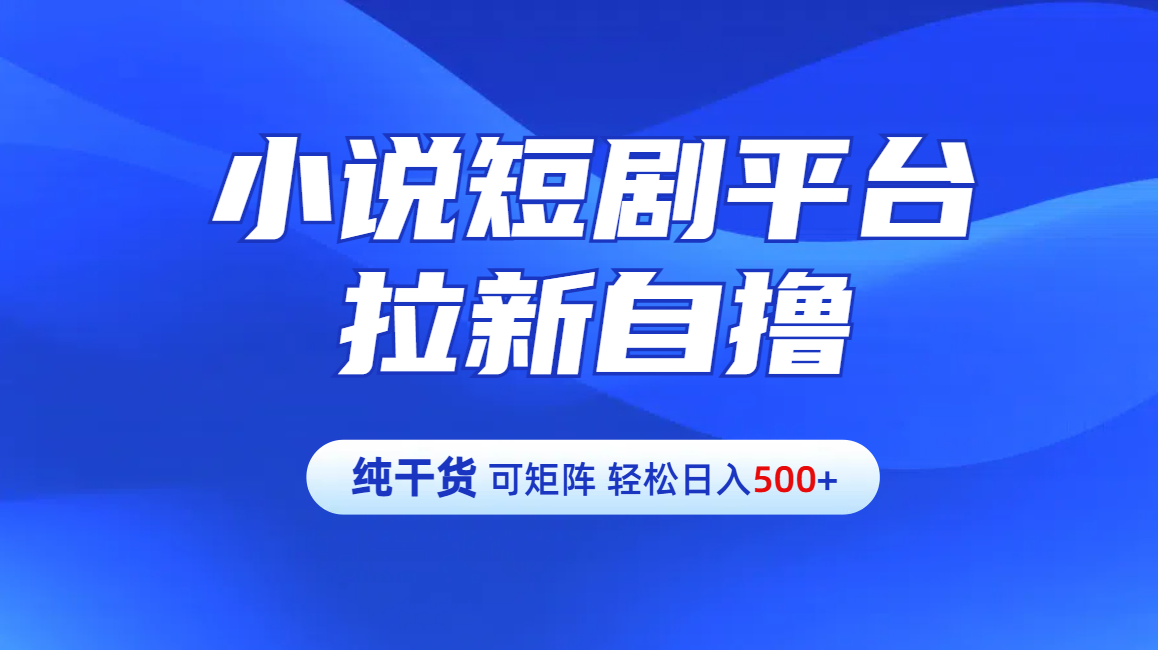 【纯干货】小说短剧平台拉新自撸玩法详解-单人轻松日入500+-小小小弦