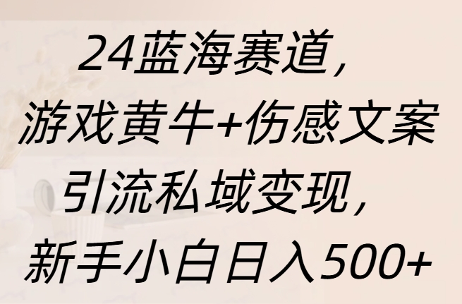 24蓝海赛道，游戏黄牛+伤感文案引流私域变现，新手日入500+-小小小弦