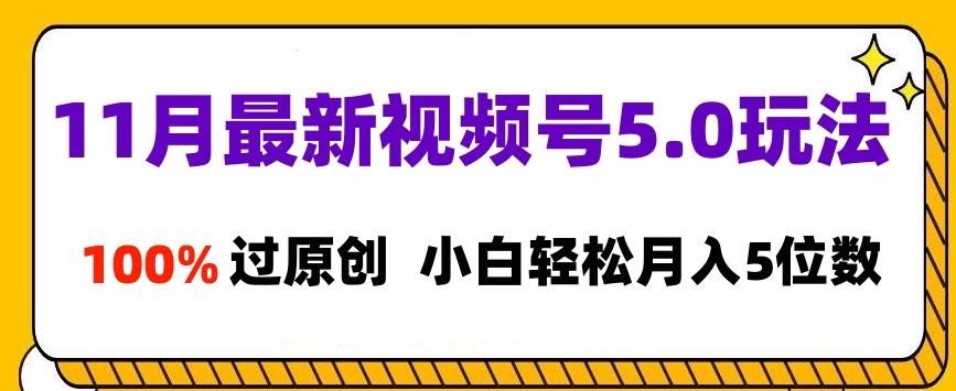 11月最新视频号5.0玩法，100%过原创，小白轻松月入5位数-小小小弦