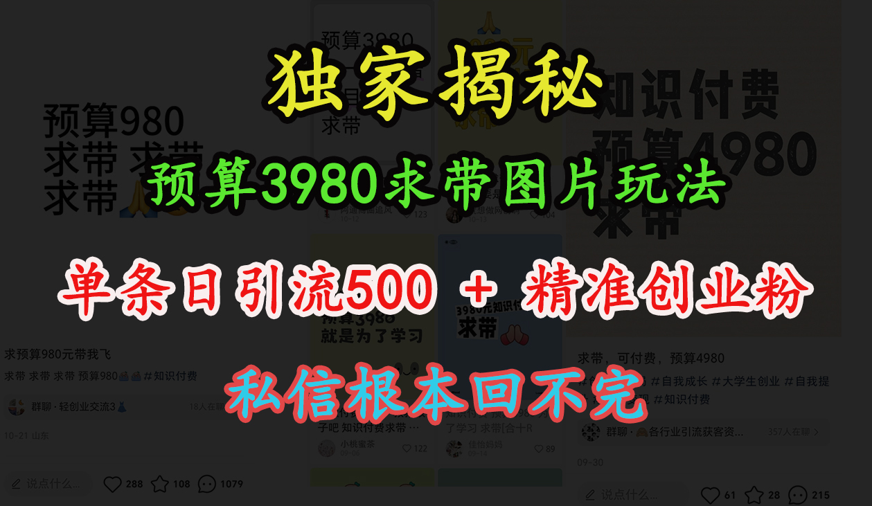 “小红书”预算3980求带 图片玩法，单条日引流500+精准创业粉，私信根本回不完-小小小弦