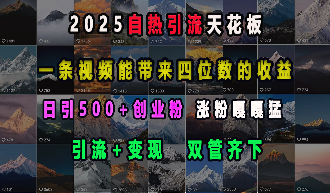 2025自热引流天花板，一条视频能带来四位数的收益，引流+变现双管齐下，日引500+创业粉，涨粉嘎嘎猛-小小小弦