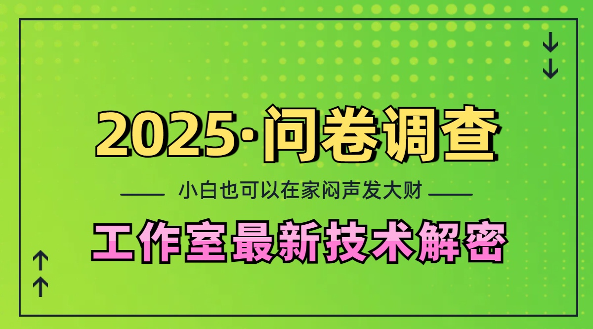 2025《问卷调查》最新工作室技术解密：一个人在家也可以闷声发大财，小白一天200+，可矩阵放大-小小小弦