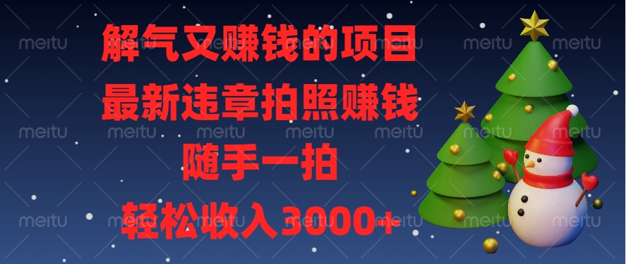 最新违章拍照赚钱，随手一拍，解气又赚钱的项目，轻松收入3000+-小小小弦