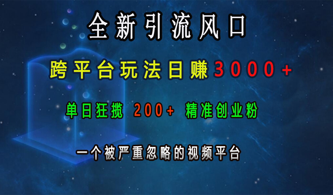 全新引流风口，跨平台玩法日赚3000+，单日狂揽200+精准创业粉，一个被严重忽略的视频平台-小小小弦