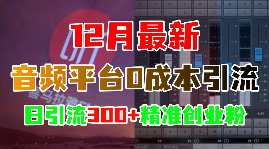 12月最新：音频平台0成本引流，日引300+精准创业粉-小小小弦