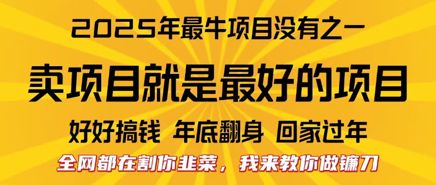 全网都在割你韭菜，我来教你做镰刀。卖项目就是最好的项目，2025年最牛互联网项目-小小小弦