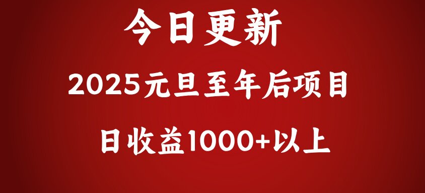 翻身项目，日收益1000+以上-小小小弦