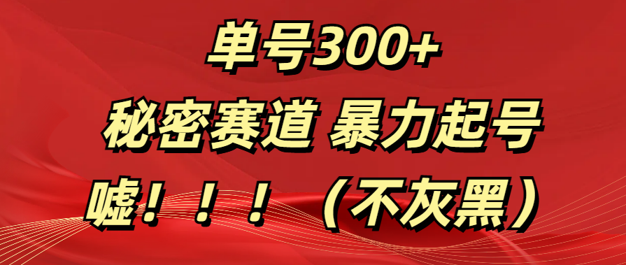 单号300+  秘密赛道 暴力起号  （不灰黑）-小小小弦